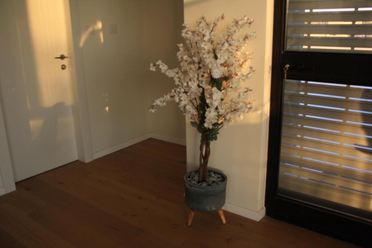 נס הבריאה Villa Midreshet Ben Gurion Dış mekan fotoğraf